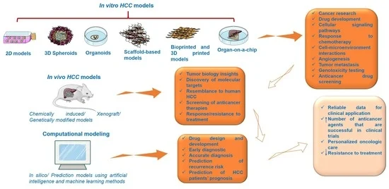 Tumor cell line